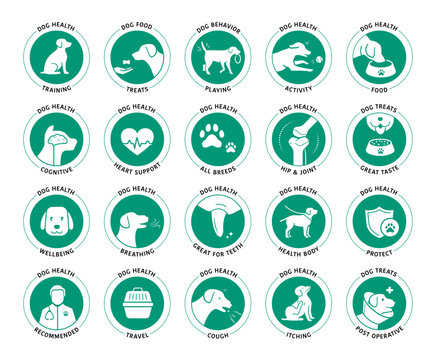 A set of icons for dog. The basic parts of pet health. The outline icons are well scalable and editable. Contrasting elements are good for different backgrounds. EPS10.
