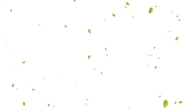 Single leaf flying and rotating gracefully through the air calm and natural animation