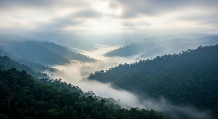 Misty mountain range with verdant forest canopy bathed in sunlight at dawn