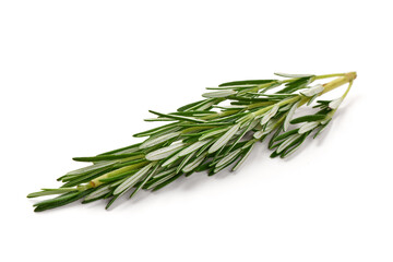 Fototapeta premium Rosemary sprig, isolated on white background