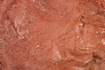 Obraz premium Extreme macro detail of the fibrous surface and brown texture of a raw plant based vegan steak meat alternative