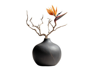 Black ceramic vase with bird of paradise flower isolated on transparent or white background, png