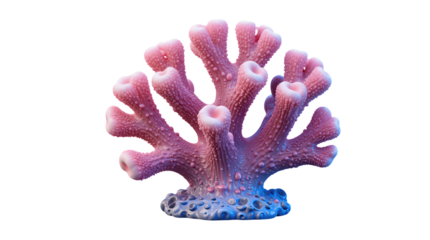 Vibrant pink and blue coral in detailed close-up