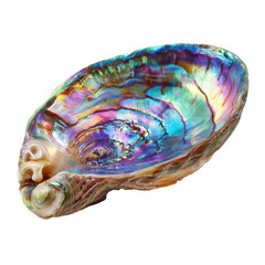 Obraz premium Iridescent abalone shell with glossy rainbow mother of pearl surface isolated on transparent background. 