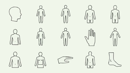 Collection of Human Body Icons and Silhouettes.