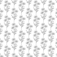 Wild Chamomile Flower Seamless Pattern. Line Art Illustration Background. Elegant wild chamomile flower branch with buds and leaves in minimal line art style. Hand drawn botanical Vector illustration