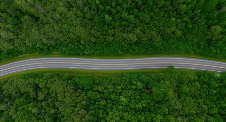 Aerial view of a winding asphalt road cutting through a dense green forest. 