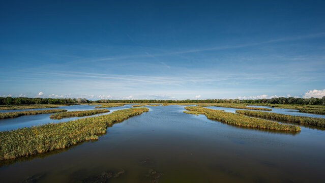 nature sceneries inside the Oasi di Vallevecchia di Brussa, Caorle, Venice, Italy