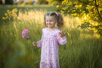 cheerful 3-year-old girl with pigtails in a pink dress with a peony walks in a village meadow