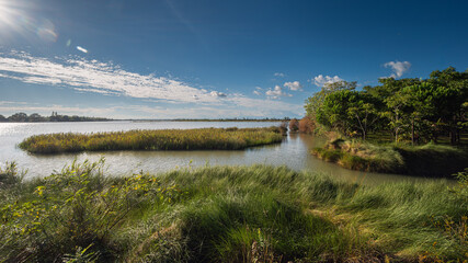 nature sceneries inside the Oasi di Vallevecchia di Brussa, Caorle, Venice, Italy © fruttuoso