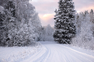 Fototapeta premium Curving Snow Road in Dense Winter Forest