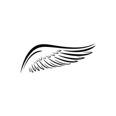 Fototapeta premium A simple black and white illustration of a single wing with detailed feathering.