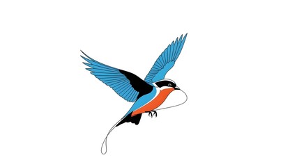 A colorful bird in flight with vibrant blue and orange feathers