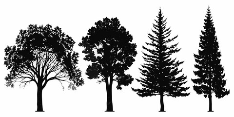 Silhouette collection of diverse trees oak pine and fir in black and white