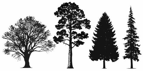 Fototapeta premium Silhouettes of diverse trees against a white background showcasing natural forms