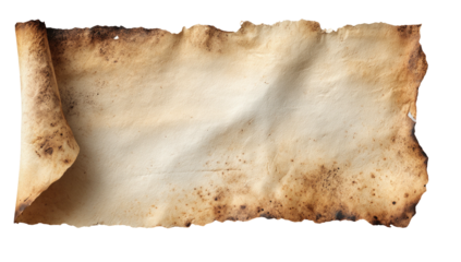 Aged scroll with curled edges and burnt accents against a transparent background