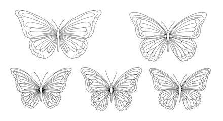 Obraz premium Set of five detailed butterfly line art drawings in different shapes and sizes, elegant insect sketches for coloring or natural design.