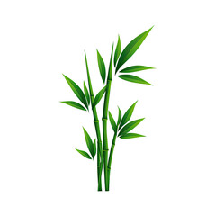 Fototapeta premium Digitally created illustration of bamboo stalks, complete with green leaves and a dark background