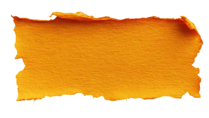 Rendered rectangular piece of aged, weathered paper with rough edges and sepia tones