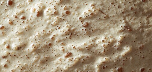 The sourdough starter surface bubbling with aerated texture and yeast fermentation activity