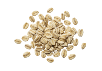 Individual steel-cut oats, coarse and porous, in earthy greyish-brown tones, scattered on a transparent background with ample copy space, soft shadowless light. Concept of wholesome natural