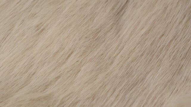 Detailed close up view of luxurious soft fluffy creamy beige faux fur fabric texture