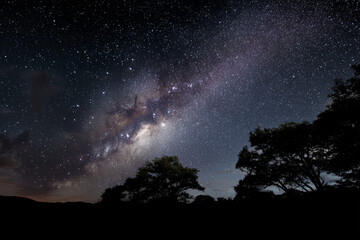A stunning night sky over the African wilderness.