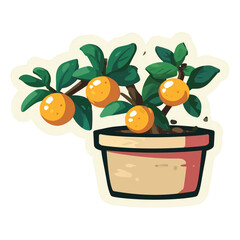 Mandarin Orange Tree Sticker Icon Wide Cream Planter Full Fruit Vector