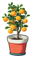 Lucky Mandarin Orange Tree Sticker Icon in Red Pot Cute Flat Vector