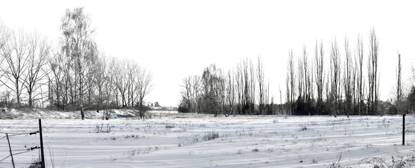 beautiful winter landscape field with snow and black trees panorama view isolated on white or transparent png