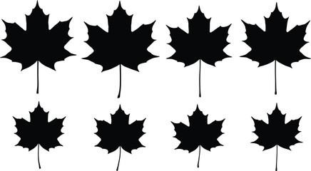 Maple leaf silhouette vector set, autumn foliage shapes collection, natural botanical illustration isolated on white background