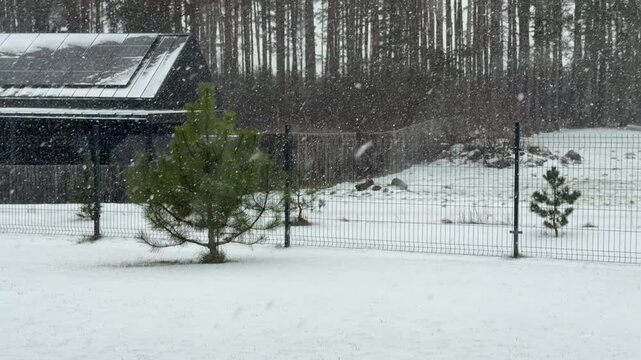 Snowstorm in a Backyard Near a House with Solar Panels