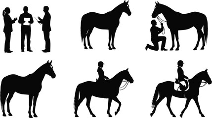 Horse rider silhouette vector set, equestrian training riding grooming scenes, animal sport activity illustration isolated on white background