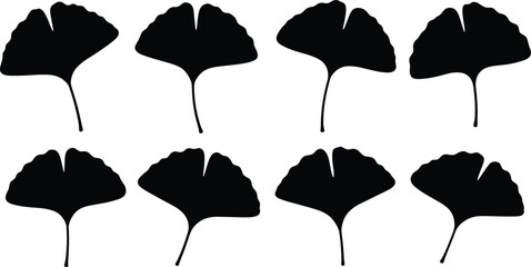 Ginkgo leaf silhouette vector set, botanical plant shapes collection, natural foliage illustration isolated on white background