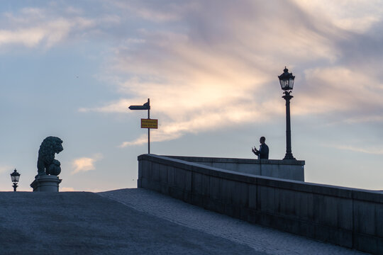 View of a bronze lion statue standing guard at the top of a stone staircase as a person uses a phone near a vintage lamppost, Stockholm, Stockholm County, Sweden.