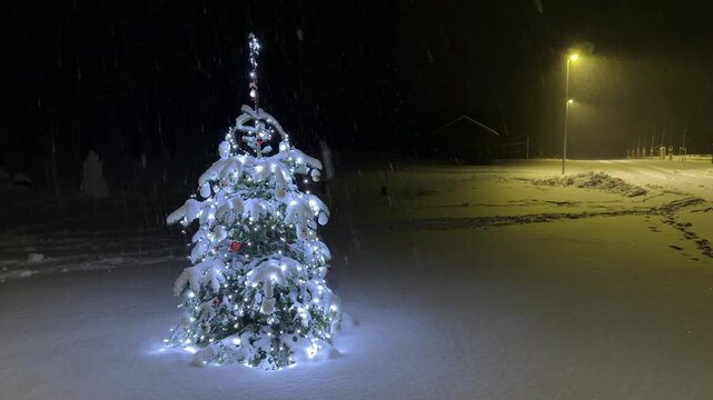 Wide Shot of a Lit Christmas Tree in a Dark Snowy Yard