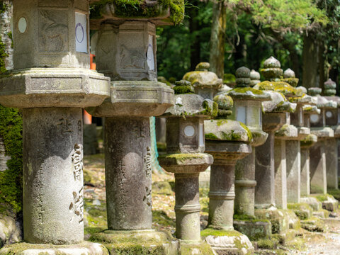 View of weathered stone lanterns adorned with moss lining a path through verdant trees, ancient and serene in the soft light, Nara, Nara, Japan.