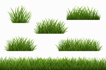 Big Set Green Grass Isolated Panorama