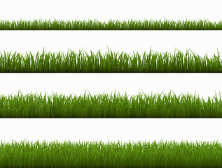 Big Set Green Grass Isolated White Background