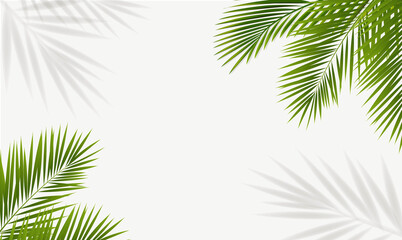 Frame With Green Palm Tree Leaves