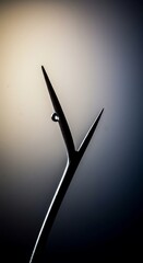 Sharp object isolated against a blurry, fading background. Deep focus technique used to highlight the subject while the surroundings disappear, change, disappearance, bokeh
