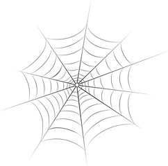 Spider thread icon