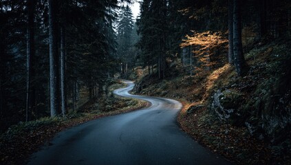 Winding road through a dense, moody forest with a hint of sunlight