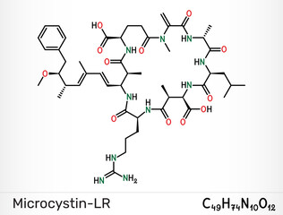 Microcystin-LR, toxic cyanotoxin molecule. Skeletal chemical formula. Vector illustration