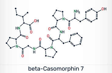 Beta-casomorphin-7, BCM7 opioid peptide molecule. Milk-derived casein peptide with potential physiological effects. Skeletal chemical formula. Vector illustration