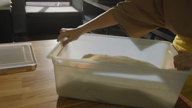 A female baker lifts and stretches dough, placing it back into a plastic container. A baker kneads sourdough dough for baguettes, small bakery. Artisan bread production.