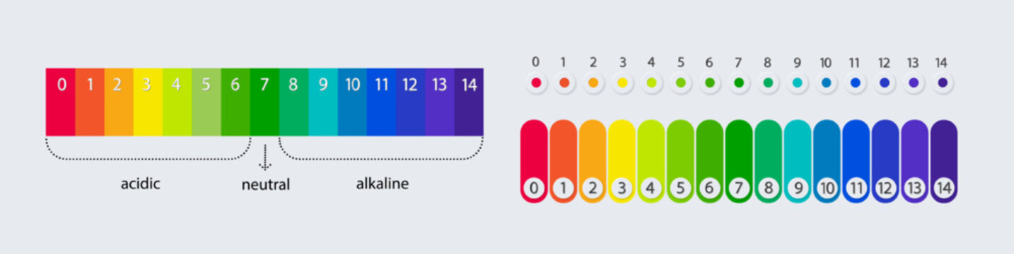 pH scale chart for acid and alkaline solutions. Acid-base balance infographic. Vector
