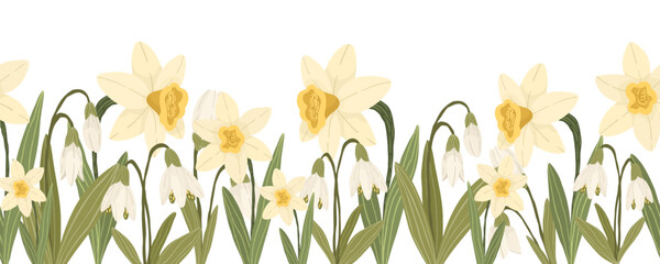 Yellow narcissus and white snowdrop flowers with green leaves, hand drawn botanical floral vector seamless border on white background.