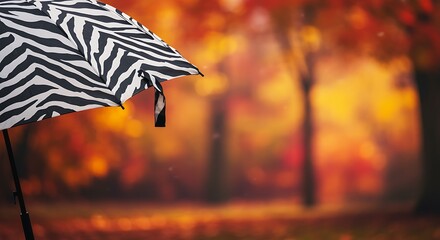 A striking black and white umbrella against a vibrant autumn forest backdrop