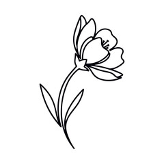 Simple black line drawing of a single flower blossom.